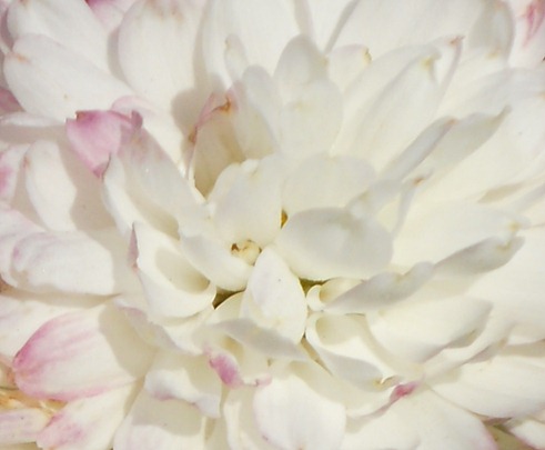 RSCN1114