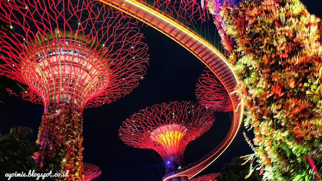 OCBC Skyway & Supertree Grove