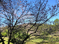 Templo Kinkaku-ji em Itapecerica da Serra