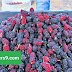 HUGE PROFITS FROM MULBERRY CROP