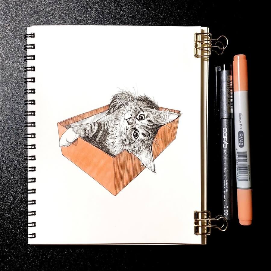 03-Cat-in-a-box-Ineko-Kawai-www-designstack-co