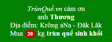Trùn quế Krông ana