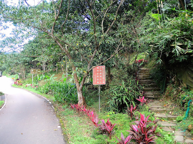 《內溝山登山步道》順遊「金龍湖」、「翠湖」 (2018.11