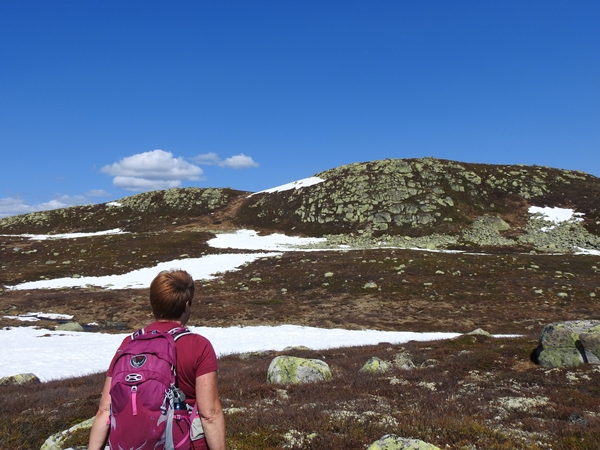 Vassfarstien fra Pukla til Ørneflag dyttholfjellet