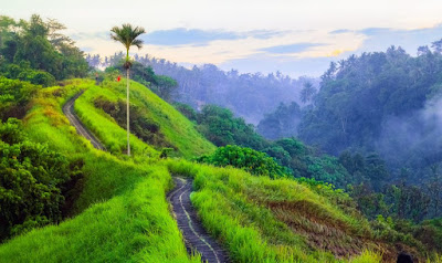 Relaxing at Campuhan Hill Ubud, it's an exotic view that tourists