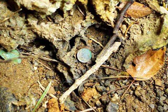 coin found at cave