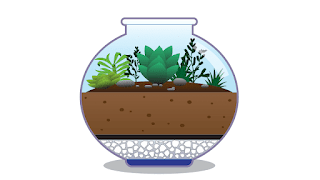 Cómo construir tu propio Terrarium