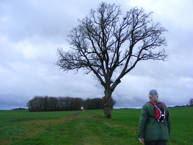 Photographed by Susan from Loire Valley Time Travel. https://tourtheloire.com