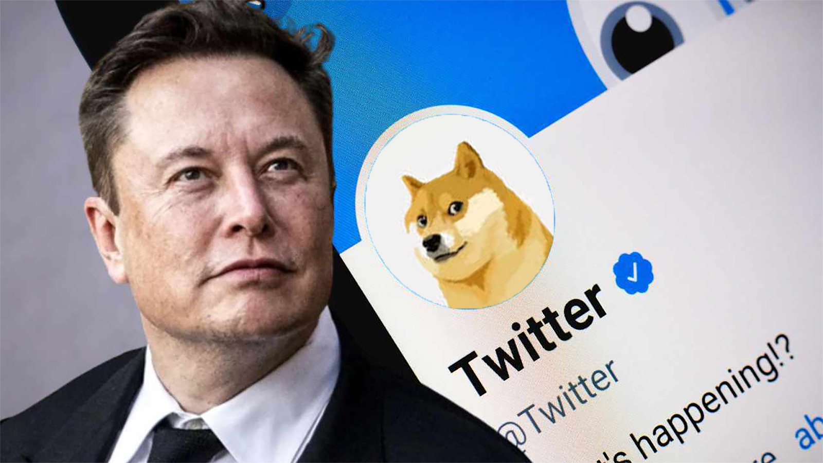 Elon Musk changes the Twitter logo.. Why did the dog replace the bird? And what is Dogecoin A large number of Twitter users saw the "dog" dog symbol instead of the blue bird logo usually used on the platform.    Some users have noticed that the home button in the top corner of their web browsers, which is usually the blue bird icon, has been replaced with a caricature of a Shiba Inu dog.