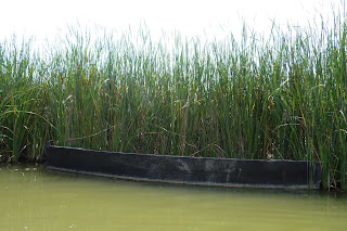 Kayak en el parque Deltaventur.