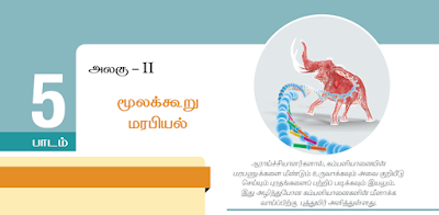 KALVISOLAI ONLINE TEST - CLASS 12 BIOLOGY ZOOLOGY - பாடம் 5 மூலக்கூறு மரபியல் - 1 MARK QUESTIONS