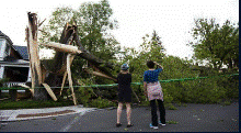 deux personnes qui regardent un arbre détruit