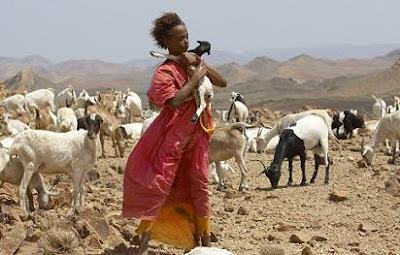 filme flor do deserto waris dirie