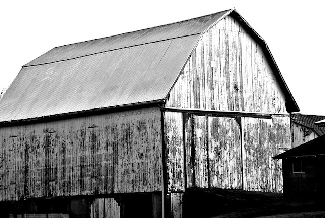 WIde Barn Digital Photo bw