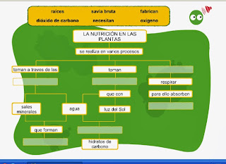 http://www.ceipjuanherreraalcausa.es/Recursosdidacticos/ANAYA%20DIGITAL/CUARTO/Cono/uni04_activi1_nutricion_plantas_n/