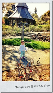 thegardens
