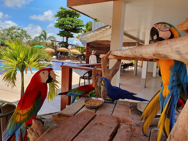 Blog Apaixonados por Viagens - Alagoas - Maragogi - Onde se Hospedar?