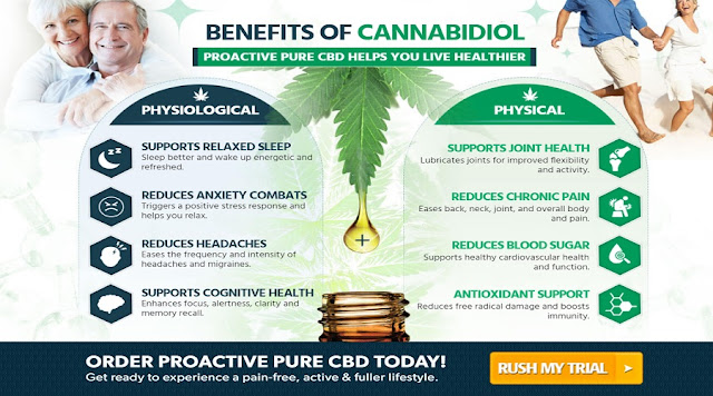 https://www.thefitnesssupplement.com/proactive-pure-cbd-oil/