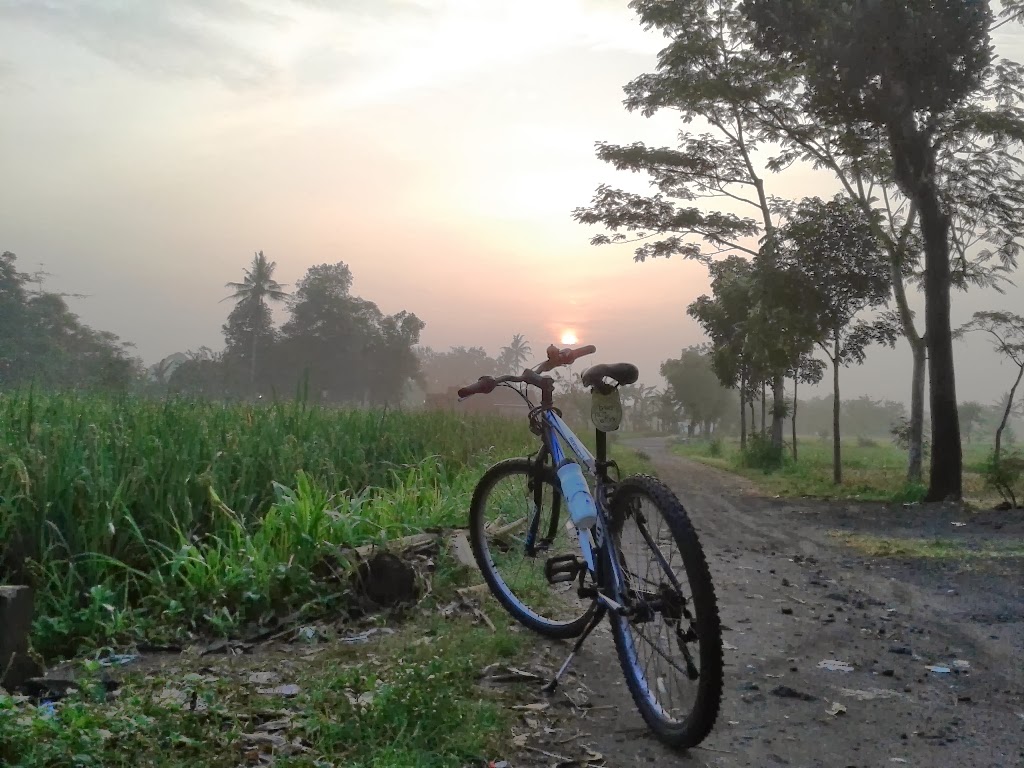 Sunrise dikawasan Candi Klodangan, Berbah