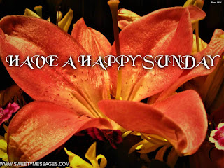 happy sunday images