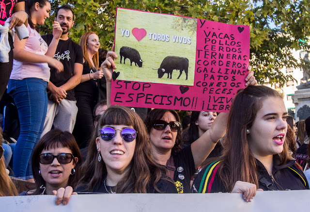 Antitaurina Zaragoza 2017 anti bullfight fiestas del Pilar 2017