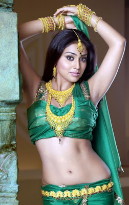 shreya, actress shreya, actress shriya sicy galley, actress sherya pics, actress shreya gallery, actress shreya gallery new