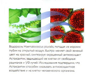 астаксантин - мощный антиоксидант