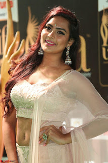 Prajna in Cream Choli transparent Saree Amazing Spicy Pics ~  Exclusive 074.JPG