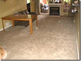Floor Reno 02