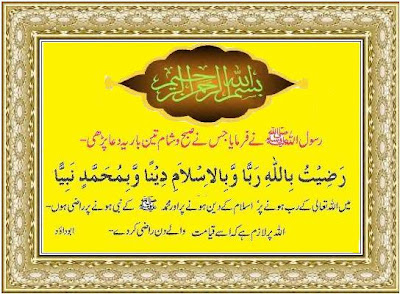 abu dawood hadith in urdu