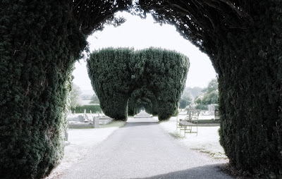 a walk through Hay cemetary