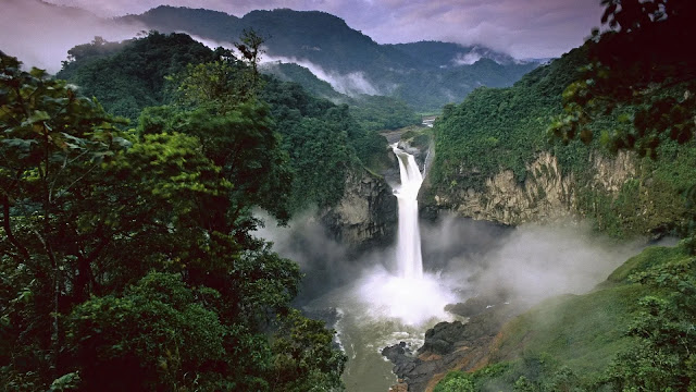 Amazon Rainforest