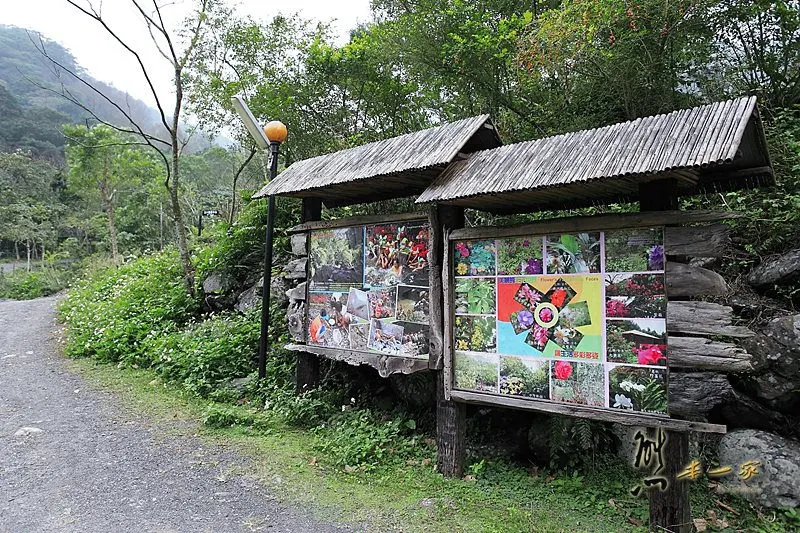 宜蘭頭城農場｜原野樂園-焢窯區-窯烤披薩區-蔬菜園-牛舍~田野體驗