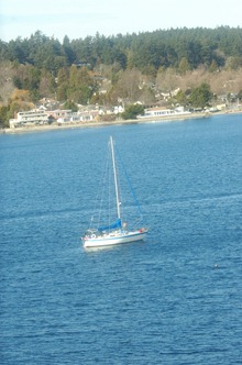 image0015 (794x1200)
