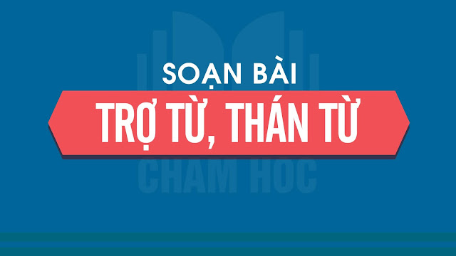 TRỢ TỪ, THÁN TỪ