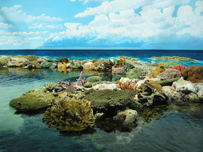 The Seven Natural Wonders of the World: The Great Barrier Reef in Northern Coast of Queensland, Australia