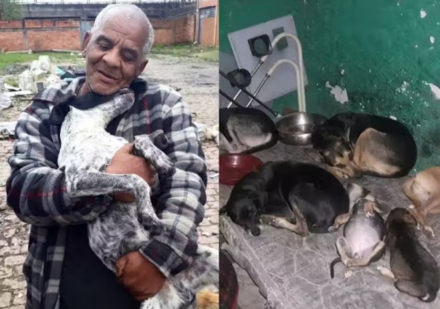 Idoso perde tudo o que tinha para salvar 54 cães em Porto Alegre. “Antes de tudo, meus filhos”