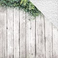 Kaisercraft: Ivy Wall - Wandering Ivy