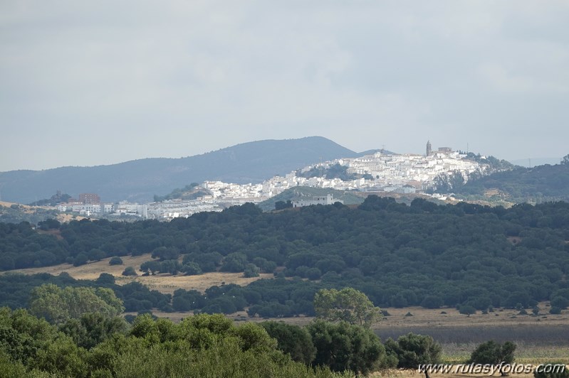 Cañada de los Ratones - Cañada de Mercegal - Necrópolis de Monte Bajo