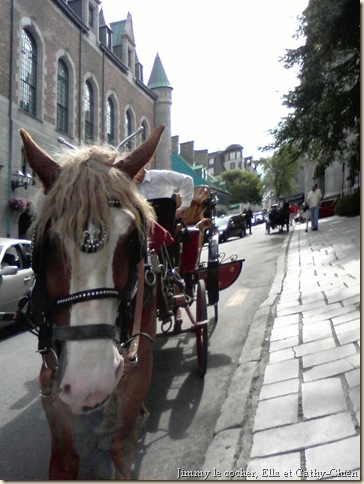 Voyage à Québec. Août 09 003