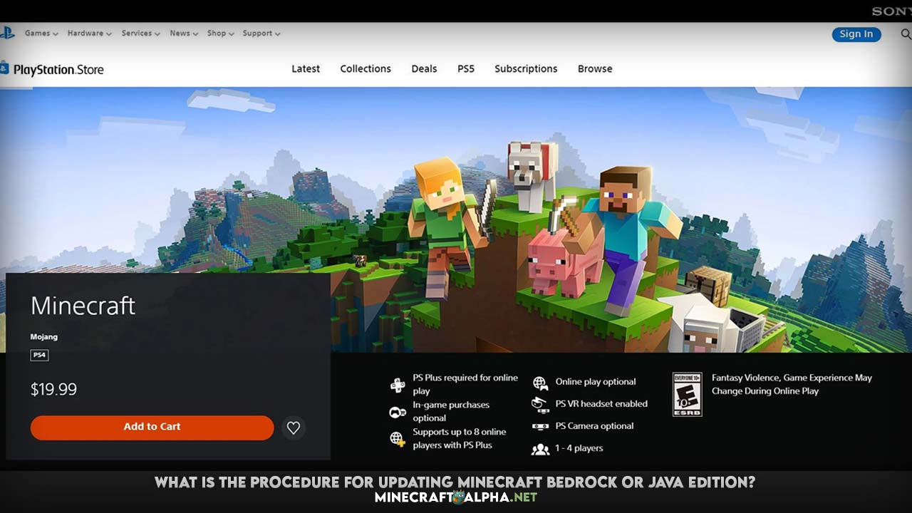 What is the procedure for updating Minecraft Bedrock or Java Edition?