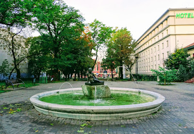 Zdjęcie: