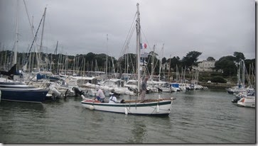 IMG_6376 IMG_6376