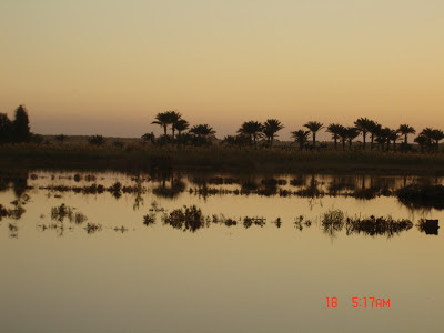 fayoum | duck hunting in fayoum