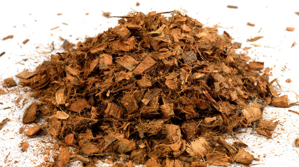 Tree mulch organic material wood chips