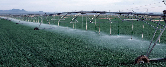 Irrigation sprinkler watering field.