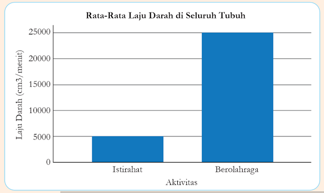 Rata-rata Laju Darah di Seluruh Tubuh