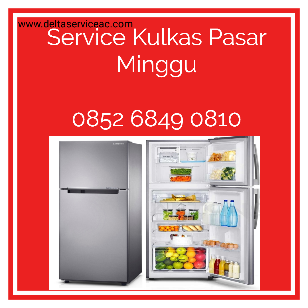 Service Kulkas Pasar Minggu Jakarta selatan Delta Multi