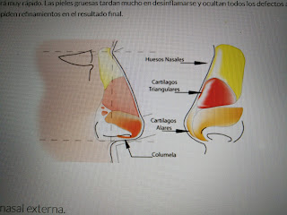 Pies Planos y problemas de nariz.