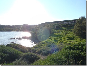 P9200058